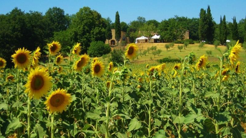 Agriturismo Natura E Salute San Gimignano Exteriér fotografie