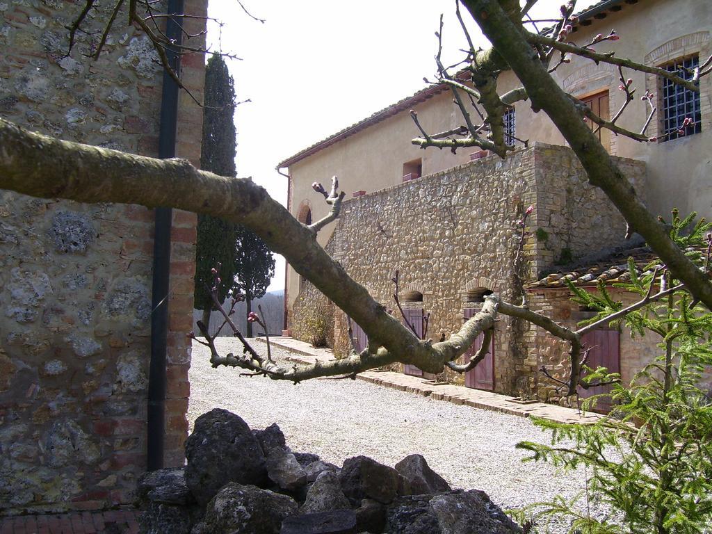 Agriturismo Natura E Salute San Gimignano Exteriér fotografie
